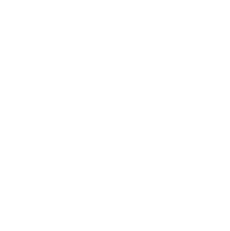 county government